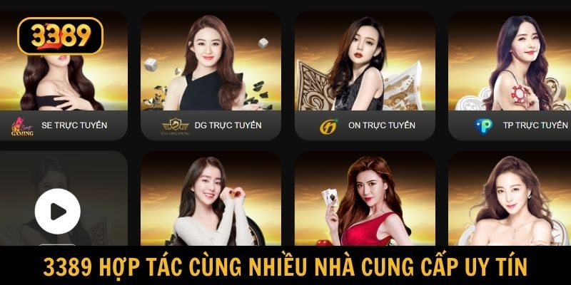 Rất nhiều nhà cung cấp uy tín hợp tác cùng 3389